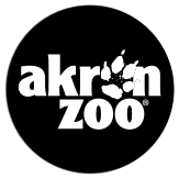 azoo-logo_2